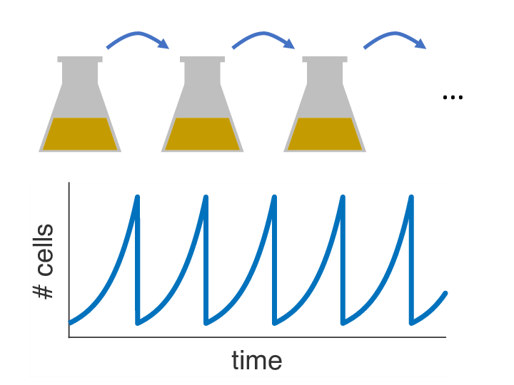 Serial passage